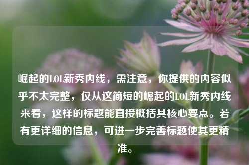 崛起的LOL新秀内线,需注意,你提供的内容似乎不太完整,仅从这简短的崛起的LOL新秀内线来看,这样的标题能直接概括其核心要点。若有更详细的信息,可进一步完善标题使其更精准。