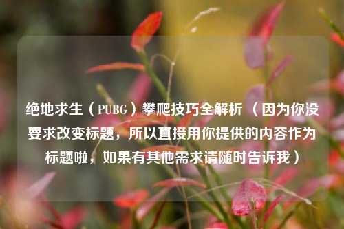 绝地求生（PUBG）攀爬技巧全解析 （因为你没要求改变标题，所以直接用你提供的内容作为标题啦，如果有其他需求请随时告诉我）