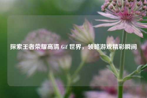 探索王者荣耀高清 Gif 世界，领略游戏精彩瞬间