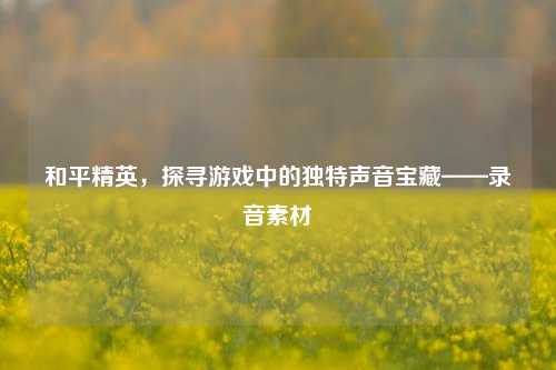 和平精英，探寻游戏中的独特声音宝藏——录音素材