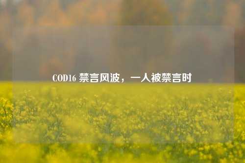 COD16 禁言风波，一人被禁言时