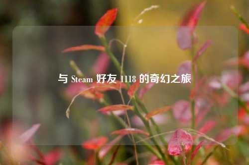 与 Steam 好友 1118 的奇幻之旅