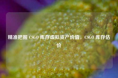 精准把握 CSGO 库存虚拟资产价值，CSGO 库存估价