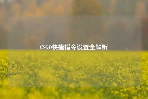 CSGO快捷指令设置全解析