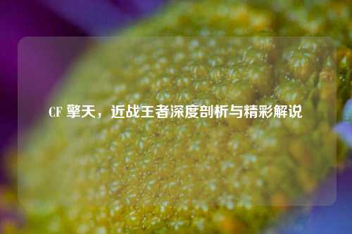 CF 擎天,近战王者深度剖析与精彩解说