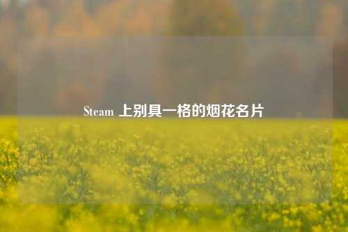 Steam 上别具一格的烟花名片
