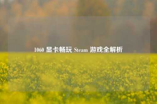 1060 显卡畅玩 Steam 游戏全解析