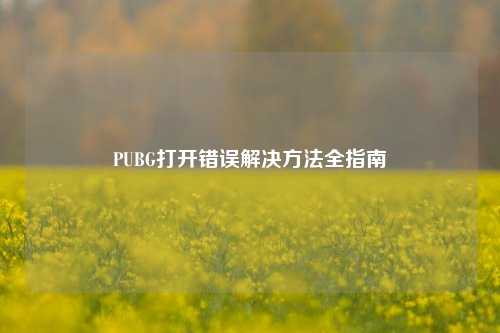 PUBG打开错误解决方法全指南