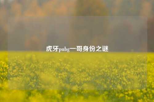 虎牙pubg一哥身份之谜