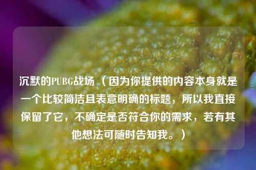沉默的PUBG战场 （因为你提供的内容本身就是一个比较简洁且表意明确的标题，所以我直接保留了它，不确定是否符合你的需求，若有其他想法可随时告知我。）