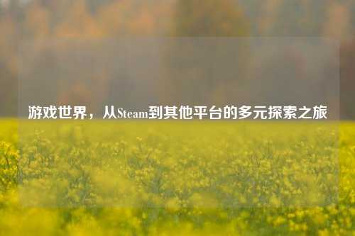游戏世界，从Steam到其他平台的多元探索之旅