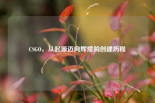 CSGO，从起源迈向辉煌的创建历程