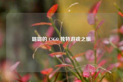 璐璐的 CSGO 独特游戏之旅