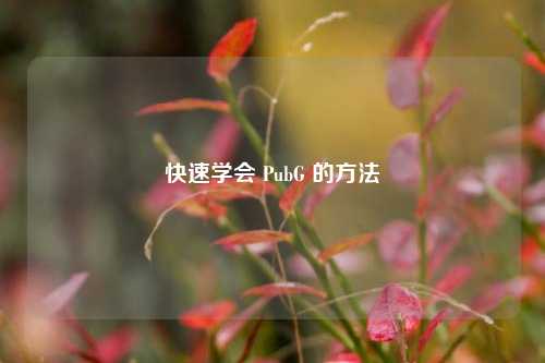 快速学会 PubG 的方法