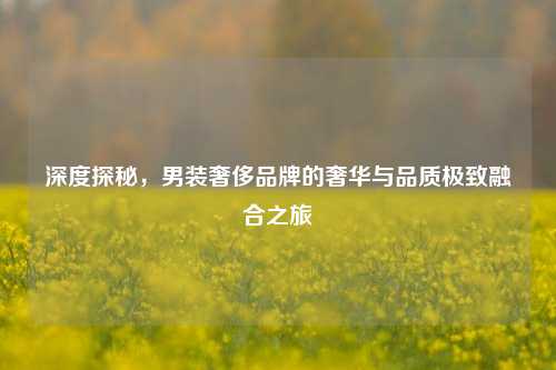 深度探秘，男装奢侈品牌的奢华与品质极致融合之旅