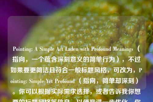Pointing: A Simple Act Laden with Profound Meanings （指向，一个蕴含深刻意义的简单行为），不过如果要更简洁且符合一般标题风格，可改为，Pointing: Simple Yet Profound （指向，简单却深刻） 。你可以根据实际需求选择，或者告诉我你想要的标题风格等信息，以便我进一步优化。你提供的内容看起来像是要写关于指向这个行为有深刻意义的文章标题，我猜得对吗？