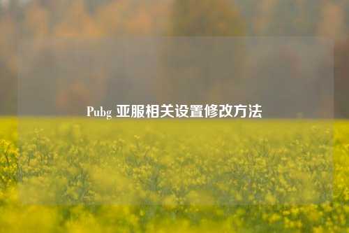 Pubg 亚服相关设置修改方法