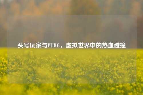 头号玩家与PUBG，虚拟世界中的热血碰撞