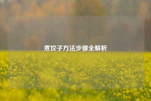 煮饺子方法步骤全解析