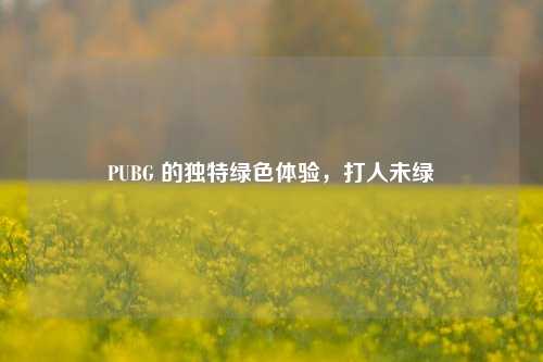 PUBG 的独特绿色体验,打人未绿