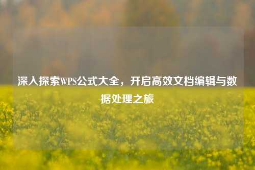深入探索WPS公式大全，开启高效文档编辑与数据处理之旅