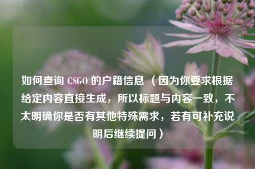如何查询 CSGO 的户籍信息 （因为你要求根据给定内容直接生成，所以标题与内容一致，不太明确你是否有其他特殊需求，若有可补充说明后继续提问）