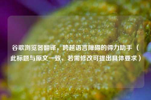 谷歌浏览器翻译，跨越语言障碍的得力助手 （此标题与原文一致，若需修改可提出具体要求）