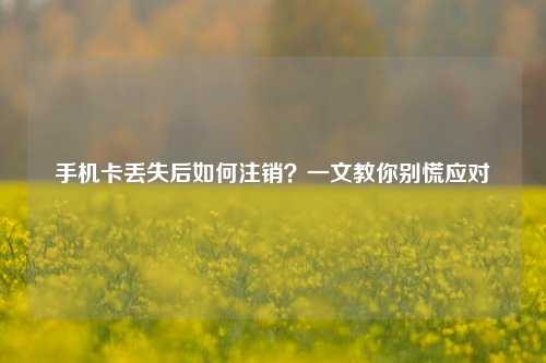 手机卡丢失后如何注销？一文教你别慌应对