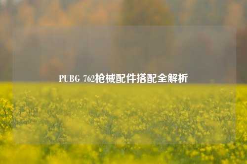 PUBG 762枪械配件搭配全解析