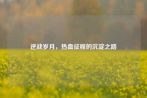 逆战岁月，热血征程的沉淀之路