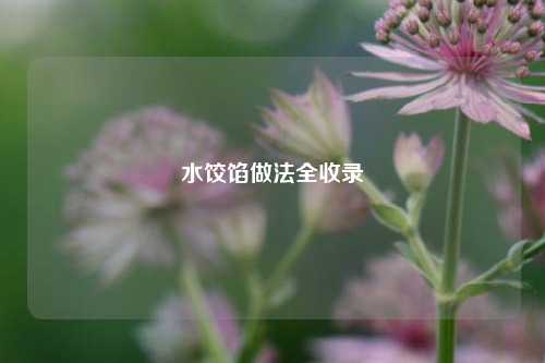 水饺馅做法全收录