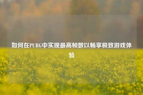 如何在PUBG中实现更高帧数以畅享极致游戏体验