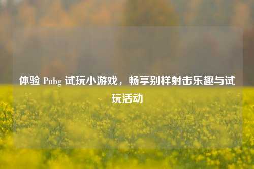 体验 Pubg 试玩小游戏,畅享别样射击乐趣与试玩活动