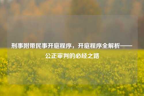 刑事附带民事开庭程序,开庭程序全解析——公正审判的必经之路