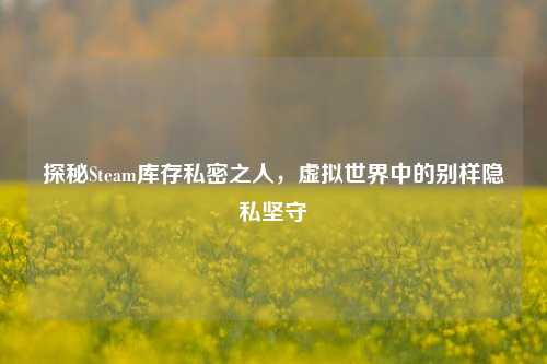 探秘Steam库存私密之人,虚拟世界中的别样隐私坚守