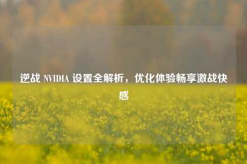 逆战 NVIDIA 设置全解析,优化体验畅享激战***