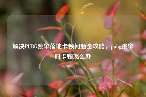 解决PUBG跳伞落地卡顿问题全攻略,pubg跳伞时卡顿怎么办