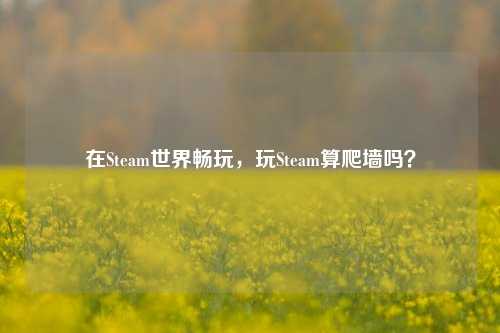 在Steam世界畅玩,玩Steam算爬墙吗?