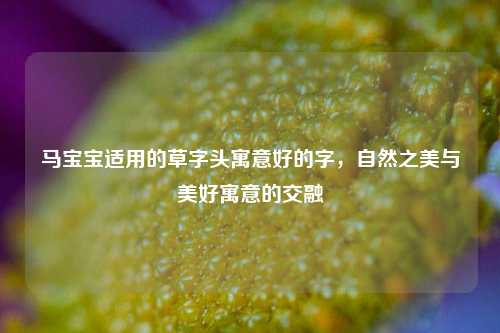 马宝宝适用的草字头寓意好的字,自然之美与美好寓意的交融