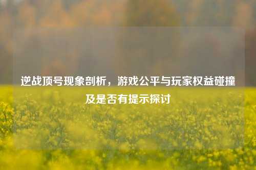 逆战顶号现象剖析,游戏公平与玩家权益碰撞及是否有提示探讨