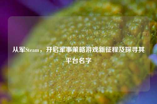 从军Steam，开启军事策略游戏新征程及探寻其平台名字