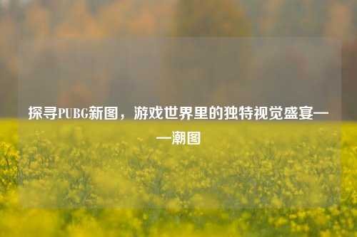 探寻PUBG新图，游戏世界里的独特视觉盛宴——潮图