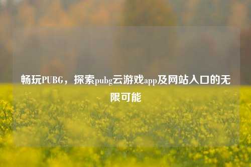 畅玩PUBG,探索pubg云游戏app及网站入口的无限可能