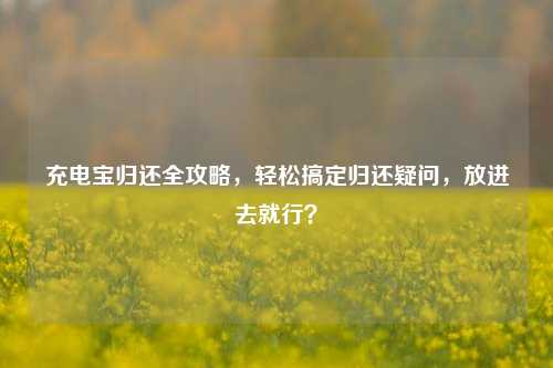 充电宝归还全攻略,轻松搞定归还疑问,放进去就行?