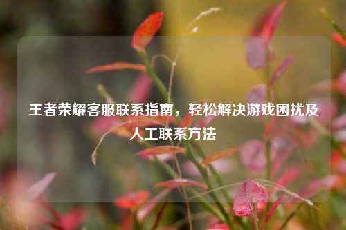 王者荣耀 *** 联系指南,轻松解决游戏困扰及人工联系 ***