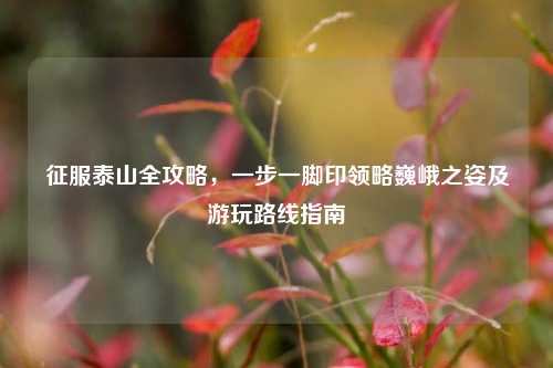 征服泰山全攻略,一步一脚印领略巍峨之姿及游玩路线指南