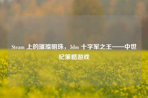 Steam 上的璀璨明珠,3dm 十字军之王——中世纪策略游戏