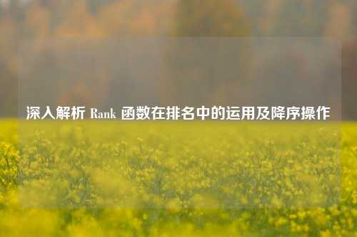 深入解析 Rank 函数在排名中的运用及降序操作