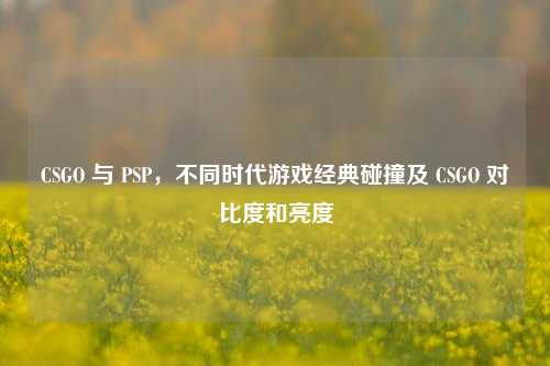 CSGO 与 PSP，不同时代游戏经典碰撞及 CSGO 对比度和亮度