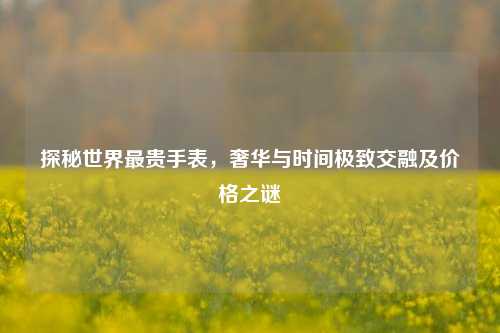 探秘世界最贵手表,奢华与时间极致交融及价格之谜